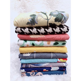 Chăn hè trần bông 3 lớp cotton poly