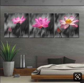 Tranh Canvan kích thước 40*40