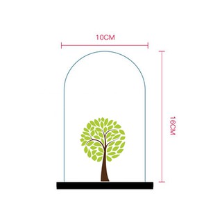 Bình thủy tinh terrarium tiểu cảnh 03