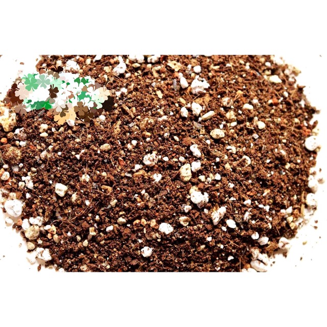 Đá Vermiculite nâu / Trồng cây cảnh rất tốt.