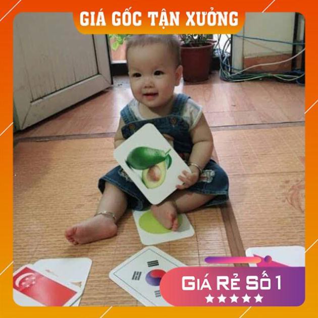 [RẺ VÔ ĐỊCH] Bộ Thẻ Học Thông Minh 18 Chủ Đề TGXQ loại to song ngữ tiếng Anh cho bé từ 0-6 tuổi