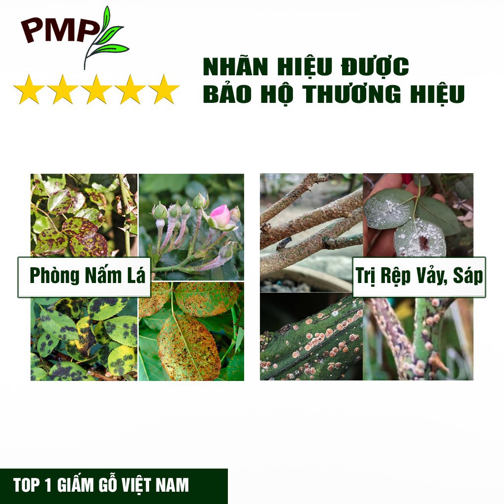 Combo Dầu Green Neem Oil Hữu Cơ &amp; Giấm Gỗ Sinh Học APY PMP Giảm Sâu Bệnh, Bảo Vệ Bộ Lá Cho Hoa Hồng, Rau Sạch