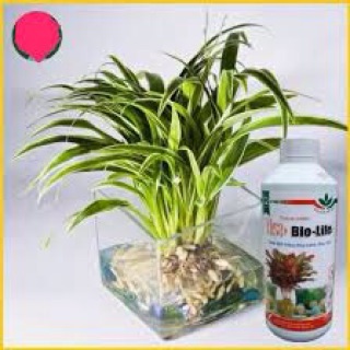 Dung dịch thuỷ canh Chai 1 lít Super  - Bio