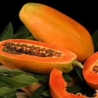 Hạt Giống Đu Đủ Ruột Đỏ (20 hạt)