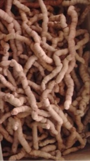 1kg Ba kích tím ,Rừng Quảng Ninh