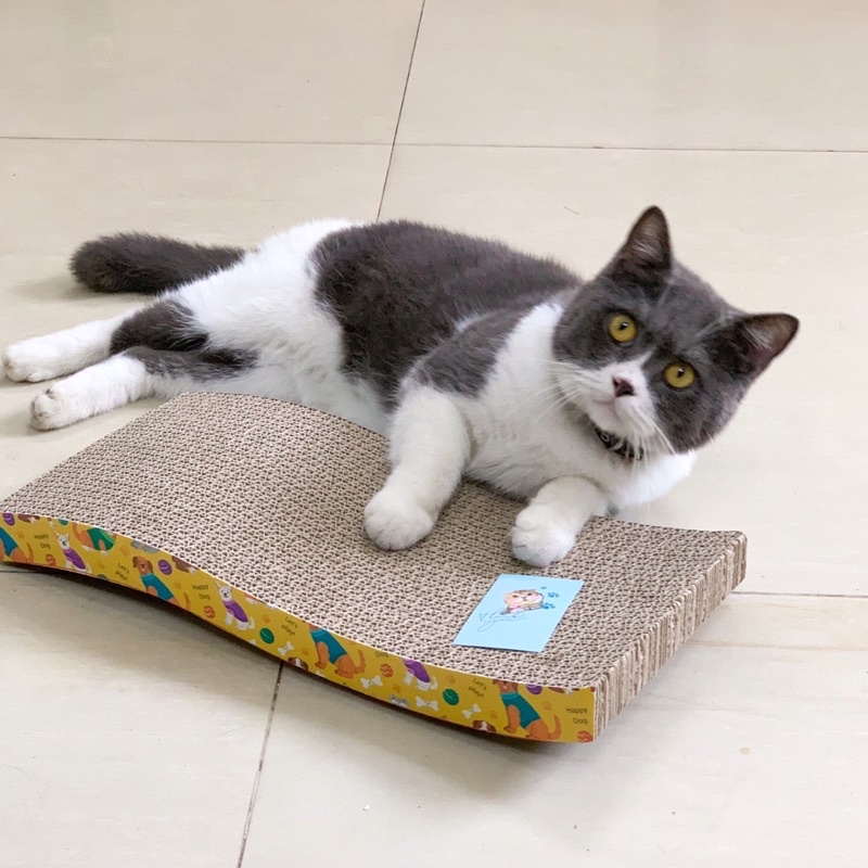 Bàn Cào Móng Cho Mèo Giấy Dạng Hình Gợn Sóng, bàn cào móng carton