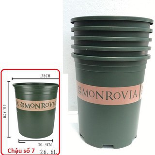 SET 3 Chậu monrovia số 5GL 28x31cm xuất xứ Trung quốc chính hãng
