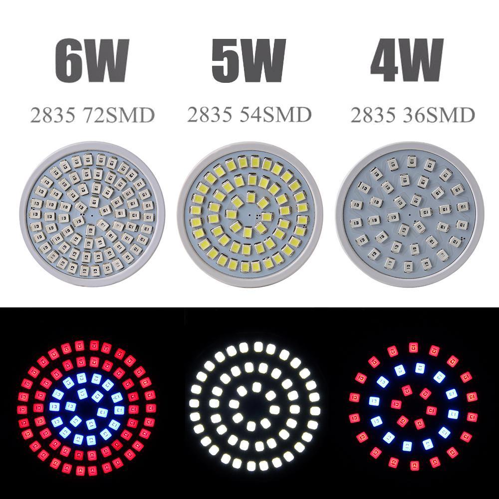 Đèn Led Trồng Cây Thủy Canh E27 / GU10 / MR16 36 / 54 / 72LED Mới