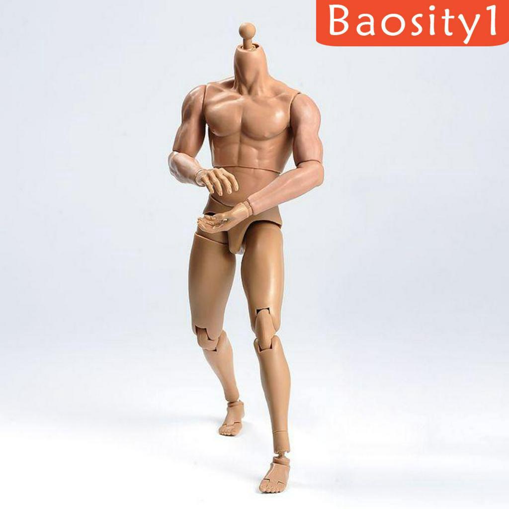 Mô hình cơ thể người nam tỉ lệ 1/ 6