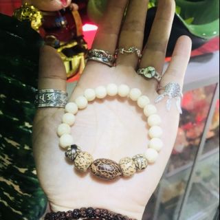 Bồ đề trúc bạch hợp mệnh Thủy + Mộc