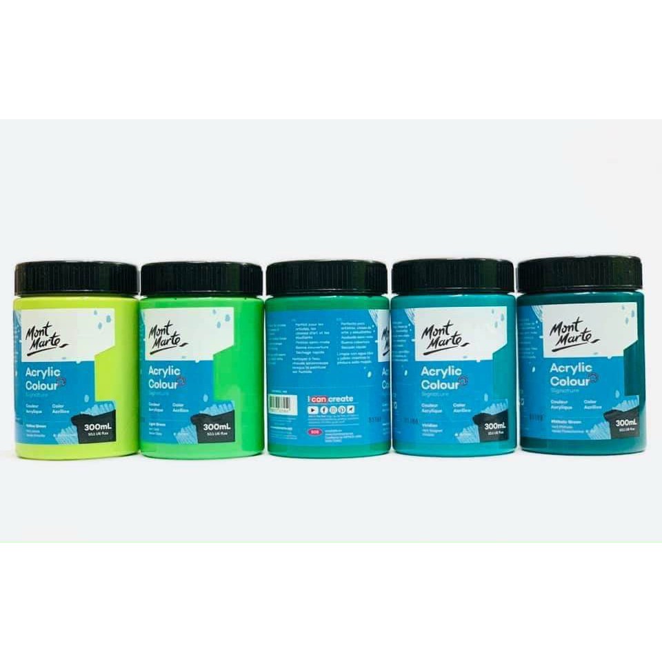 Màu vẽ Acylic Mont Marte 300ml vẽ vải vẽ tường gốm sứ giấy P2