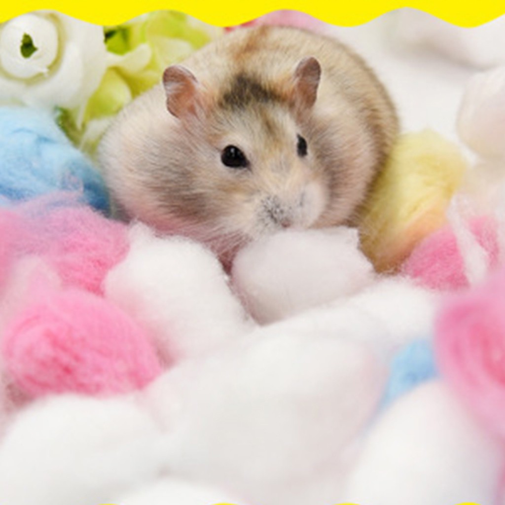 Set 100 Quả Bóng Nhiều Màu Sắc Cho Chuột hamster