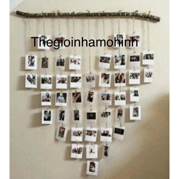 Cành gỗ treo ảnh decor trang trí không gian