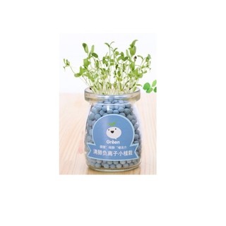 CHẬU CÂY THỦY TINH MINI CACBON TRÒN KÈM HẠT GIỐNG CỎ MỘNG MƠ