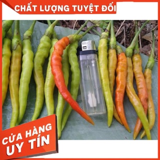 ớt tằm siêu cay thái lan