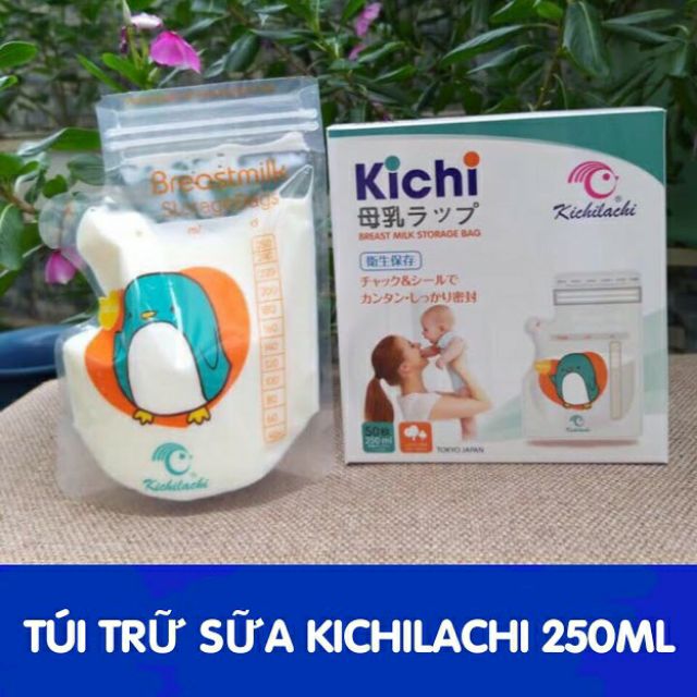 Hộp 50 túi trữ sữa kichilachi 250ml