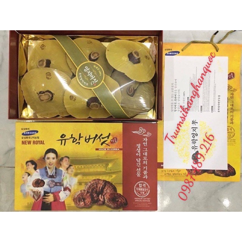 [ SALE KHỦNG ] NẤM LINH CHI VÀNG HỘP CÔ GÁI LOẠI THƯỢNG HẠNG 1KG