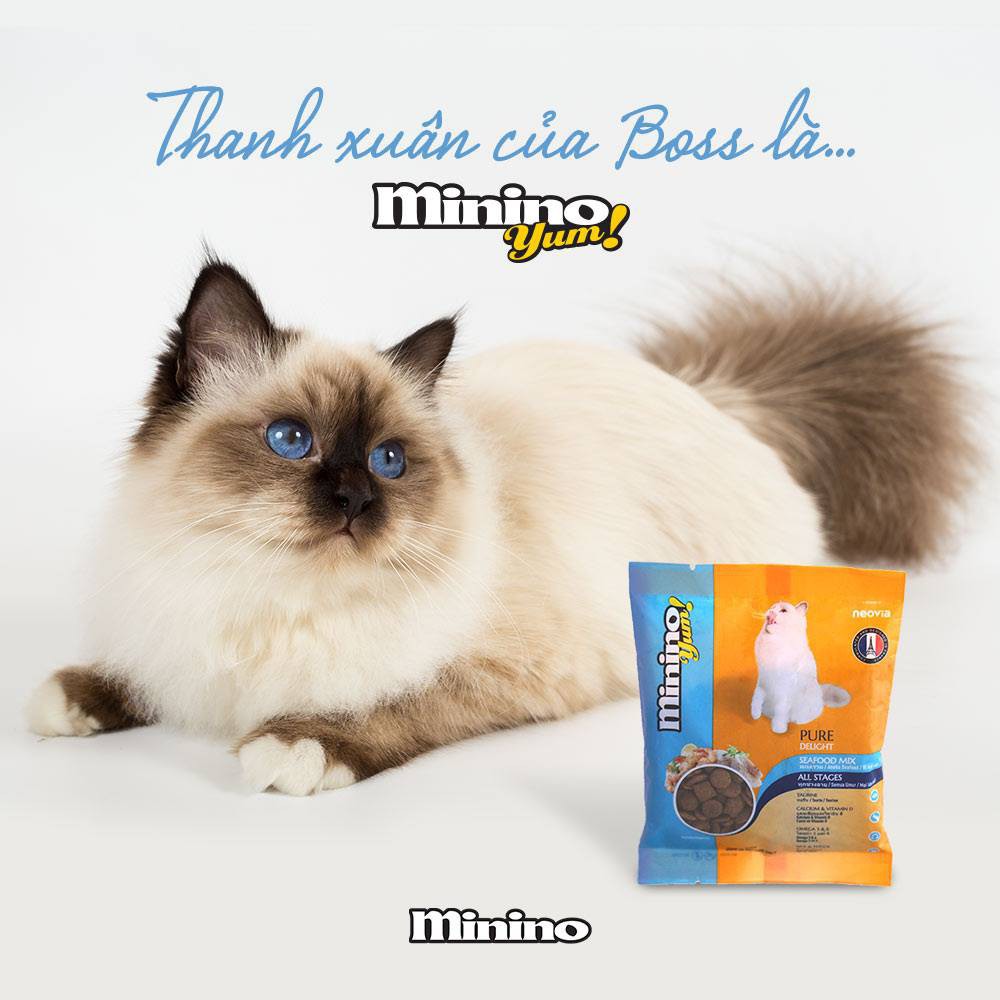Thức Ăn Cho Mèo Minino Yum, Giúp Mèo Ăn Ngon _ Loại 350g