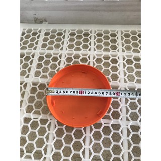 Máng Uống Gà Con - Chim Cút - Vịt - Ngan