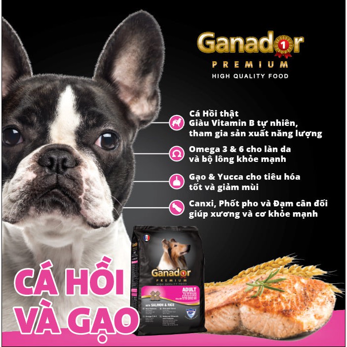 Thức ăn hạt cho chó trưởng thành Ganador, gói 3kg