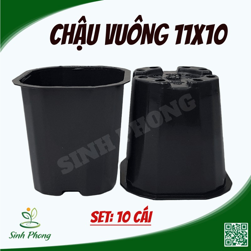 Chậu vuông 11x10 đen