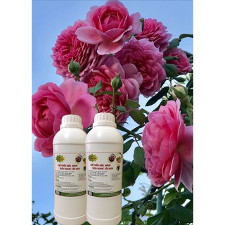 Mua Chế phẩm đậu nành trộn Humic trứng  chuối (combo 2 chai)