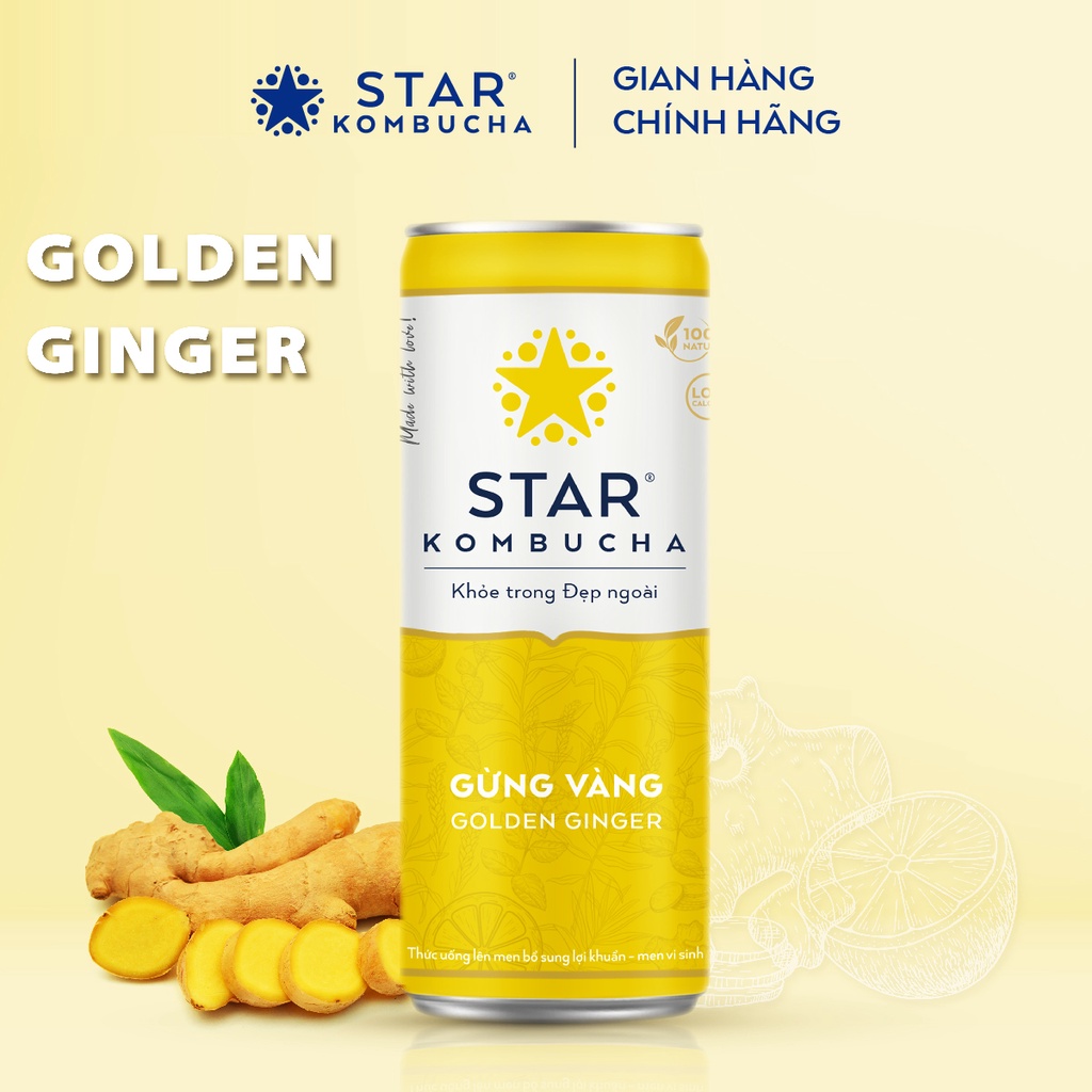 Thùng 12 lon STAR KOMBUCHA Gừng Vàng/ Golden Ginger (250ml/lon) - Trà lên men vi sinh chứa probiotics