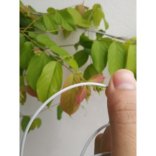 Tai iPhone 6/6s chính hãng