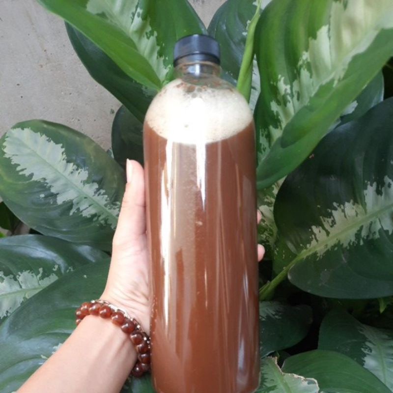 ENZYEM THẢO DƯỢC GỘI ĐẦU BỒ KẾT NHÀ LÀM.