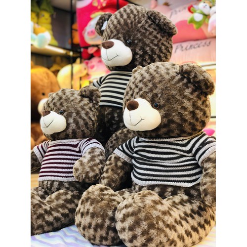 Gấu Bông  Teddy Giá Rẻ Cao Cấp Dễ Thương Khổng Lồ