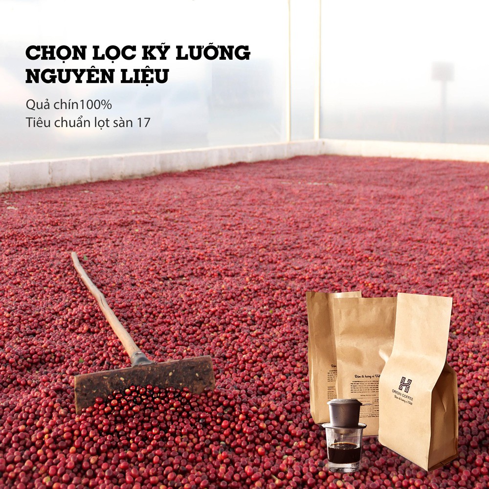 Cà phê rang xay pha phin gu vị Nhẹ Nhàng, cafe nguyên chất mộc sạch arabika robusta culi 100% H Origin Coffee, 500g | BigBuy360 - bigbuy360.vn