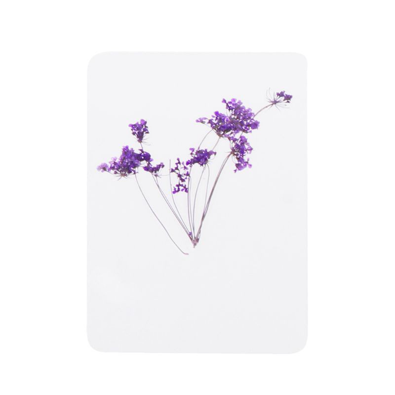 Hoa Lá Ép Khô Dùng Làm Trang Sức Epoxy Resin