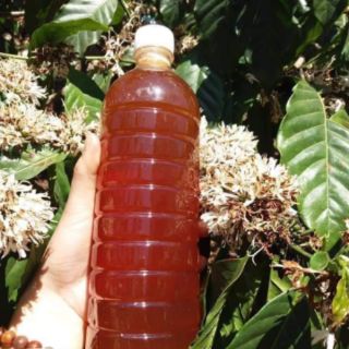 Combo 10 chai nhựa xoắn 950ml