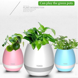 chậu cây thông minh kiêm loa bluetooth