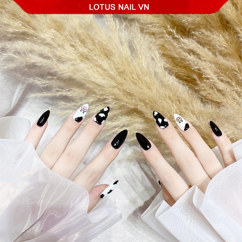 Gel vẽ nail, gel vẽ đen trắng Lotus chính hãng hũ to 10g