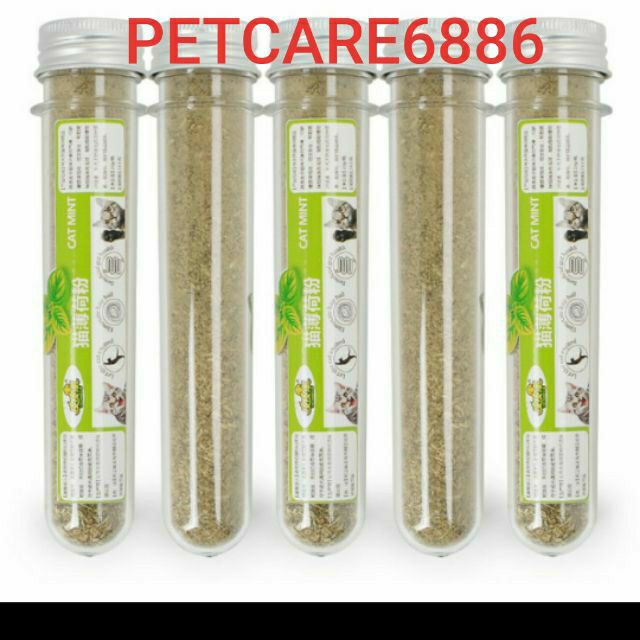 Cỏ mèo  ăn liền cho mèo thưởng thức phê phê
