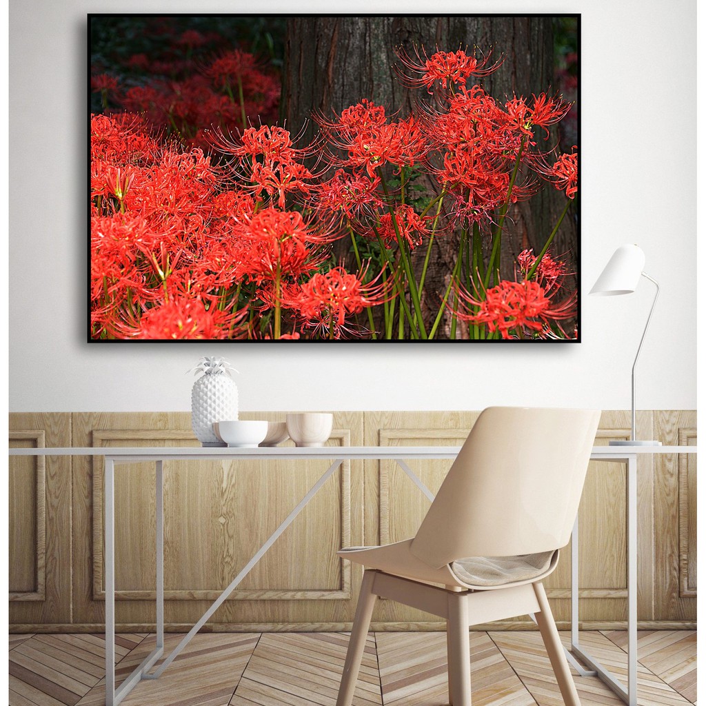 Tranh canvas hoa bỉ ngạn