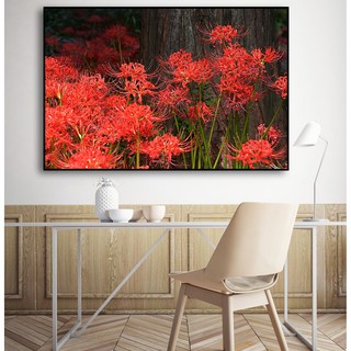 Tranh canvas hoa bỉ ngạn