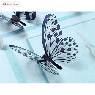Bướm trắng