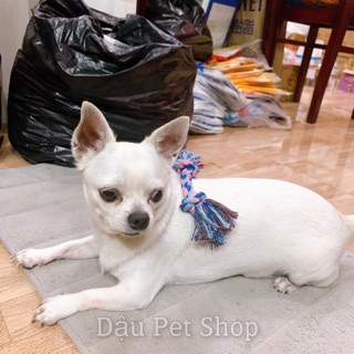 🦴Đồ Chơi Bện Thừng Cho Chó Gặm Nhai Sạch Răng, Bền Chắc, Chống Cắn Phá