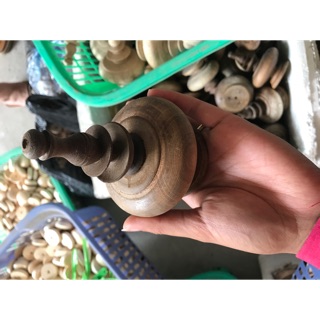 Nậm gỗ muồng