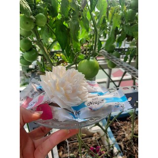 Kẹo Nougat