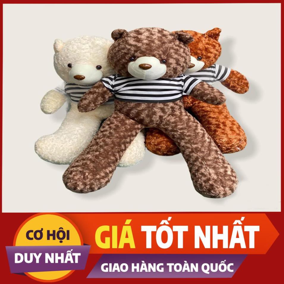 [Mã INCU1114 giảm 25% đơn 99K] Gấu Bông Teddy Cao Cấp [1m-1m3]/Gấu Bông To Chất Liệu Cao Cấp An Toàn Cho Da Khi Ôm