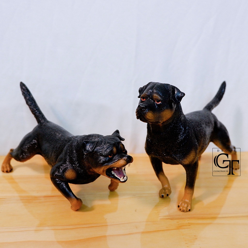 Mô hình các loài chó | Corgi - Bulldog Anh - Rottweiler - Shiba- Golden - Bully- Golden