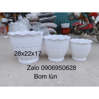 Chậu nhựa bom lùn có 2 size (có dĩa lót)