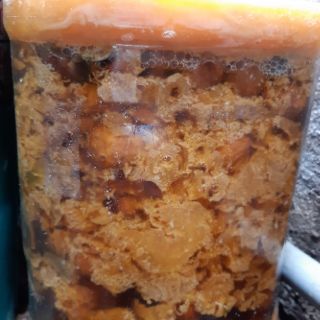 1000ml ENZYME GIÁ DÙNG THỬ. 40k