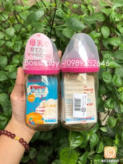 Bình Pigeon Thái Lan 160ml/240ml