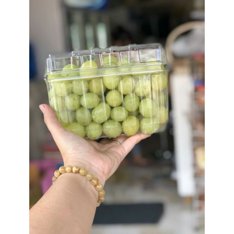 Hộp đựng trái cây loại nửa kg và 1 kg