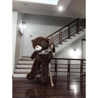 Gấu bông Teddy Cao Cấp khổ vải 1m2 Cao 1m màu Nâu hàng VNXK