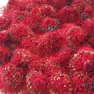 Combo 6000 sợi chỉ đỏ